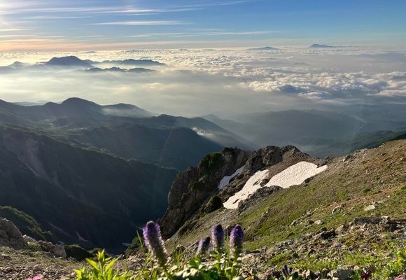 7月*白馬岳(猿倉～栂池) / えどっこの登山データ | YAMAP / ヤマップ