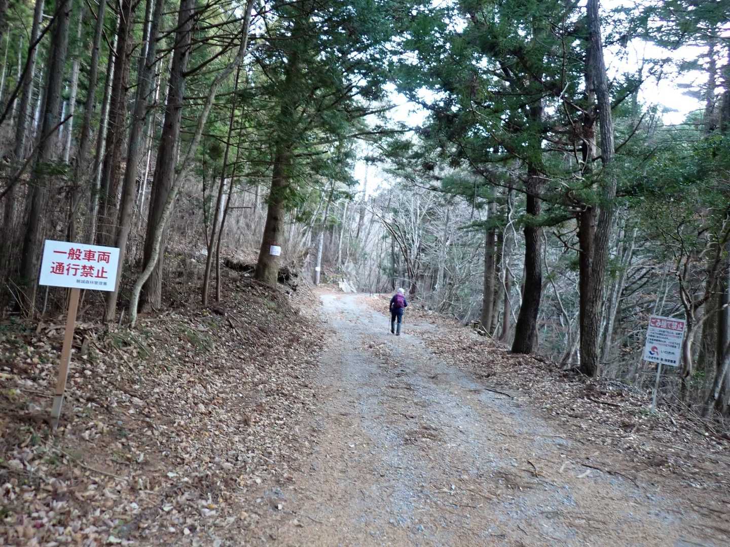 国道から加路川沿いの林道を辿ります