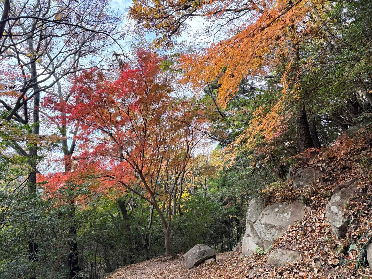 岩と紅葉は合うね👍