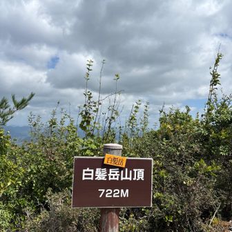 着いた