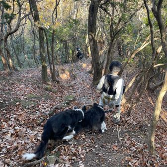 おりこうさんのハルとフク❣️