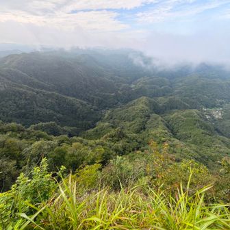 神社裏に回ると絶景。しかし湿気が多く遠方は…条件が良ければ筑波山も見えるそうです。