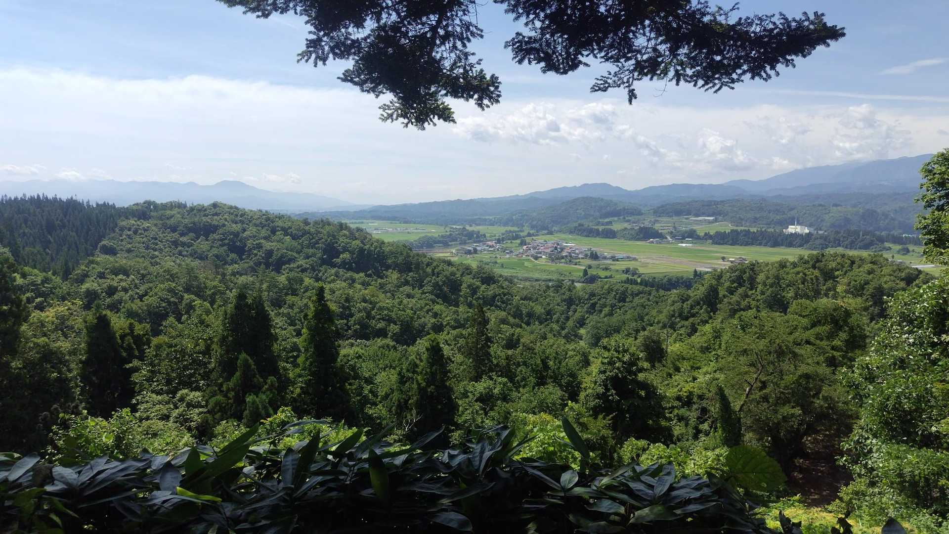 ちょいと登ったが違った。眺めは良い