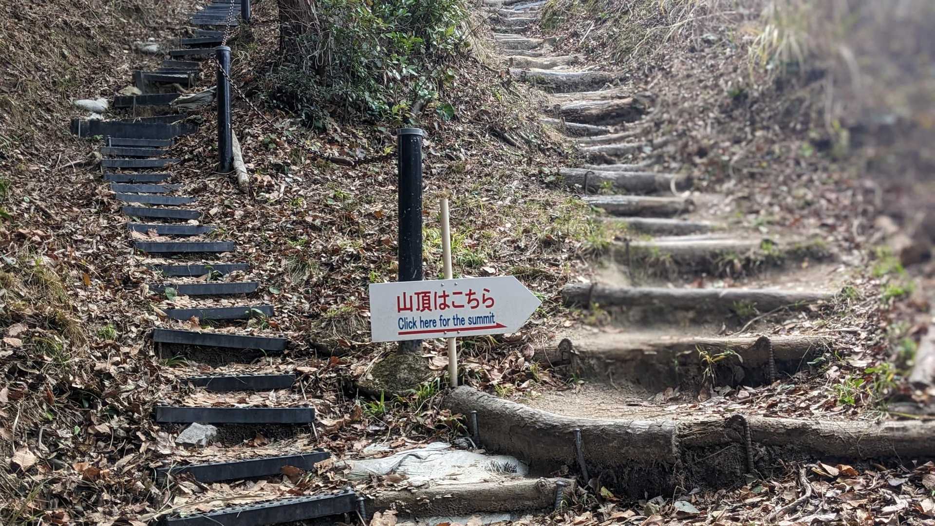 山頂はこちら…
登って登って…
合流するやないか！笑笑