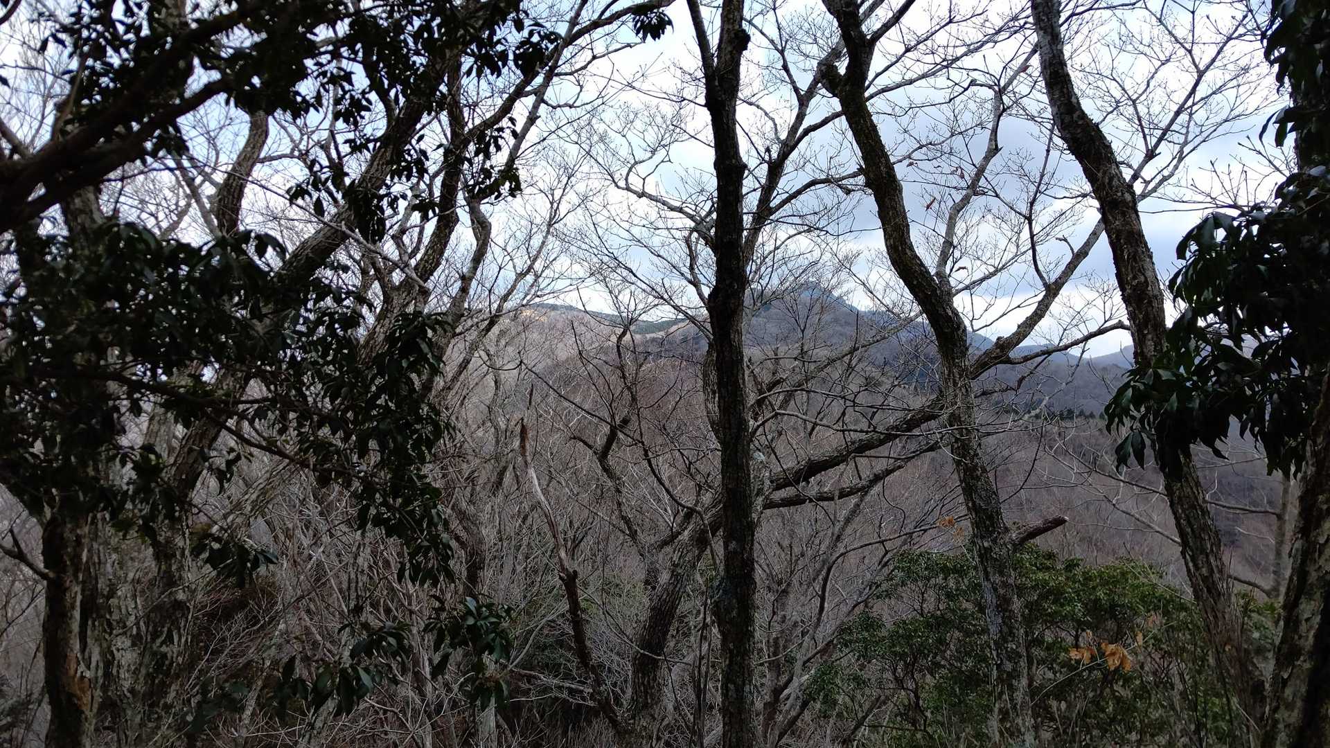 祖母山に近づいたけど…