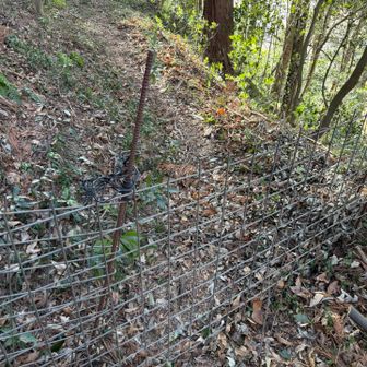 横を通り抜けて柵をオープン