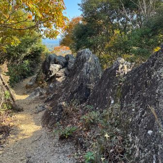 ラクダ岩らしい