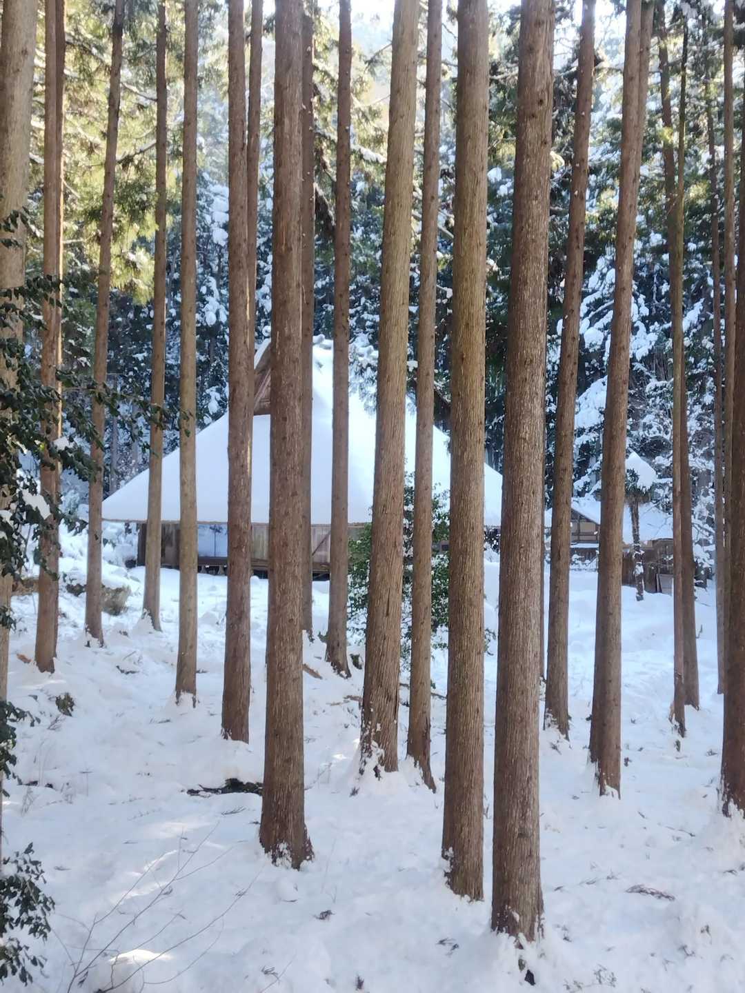 いつも日本昔話を思い描く家屋
