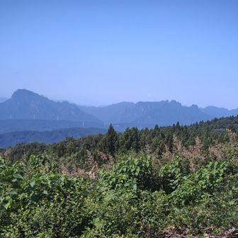 戸谷山から
妙義山