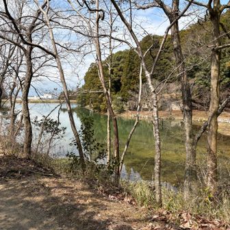 御池

最近何度か雨が降り，やっと水量回復してきました。

登山道ではありませんが　たくさんのテープで道案内してくれているルートを通り、ここから北周り中段に向かいます