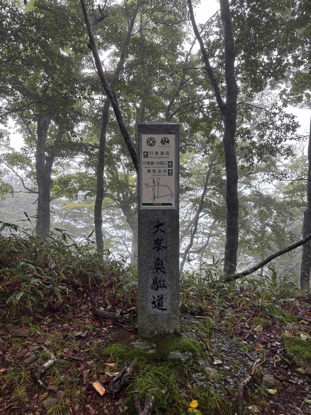 弥山登山口-行者還岳 往復コースの写真