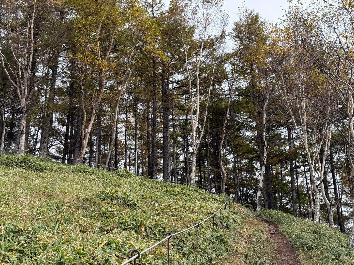 半月山-半月峠-中禅寺山 往復コースの写真