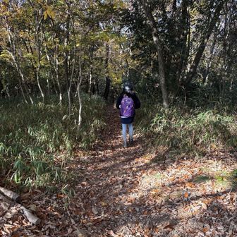 下山しまーす♪