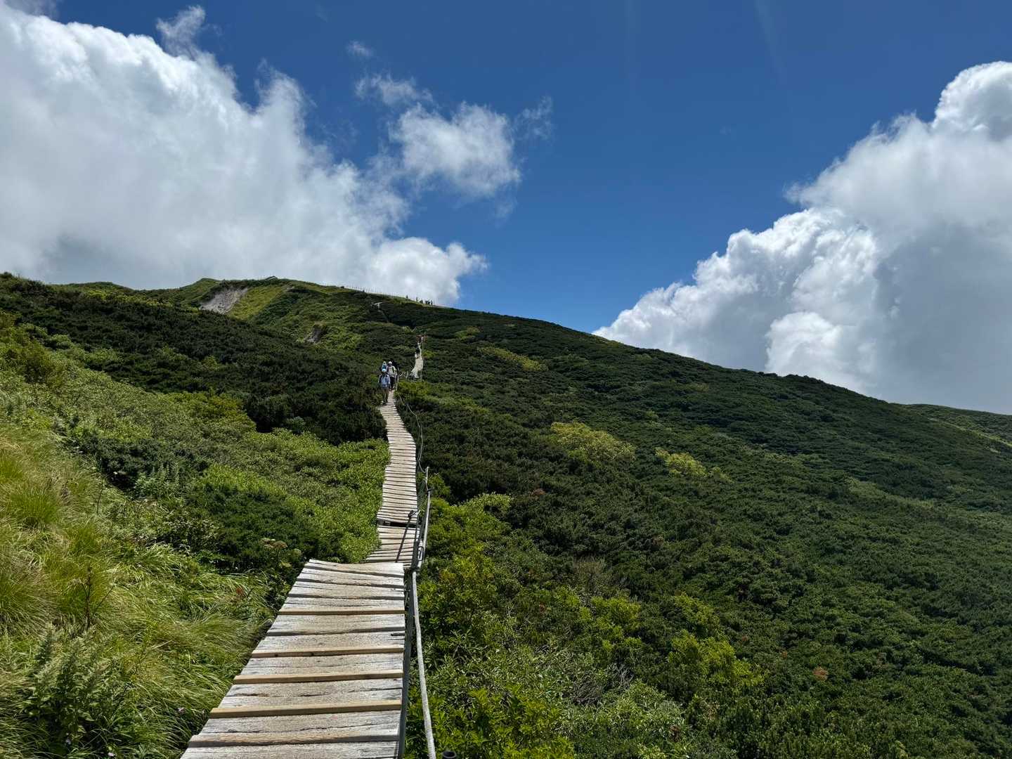 夏山登山道コースの写真