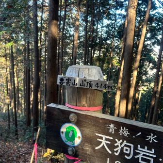 どうしようかな。天狗岩。よろうかな。