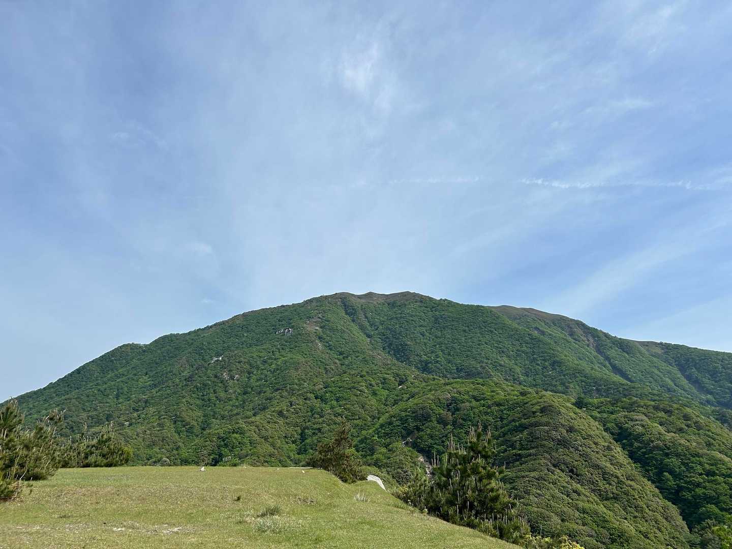 竜ヶ岳は賑わっているんだろうな〜🐏