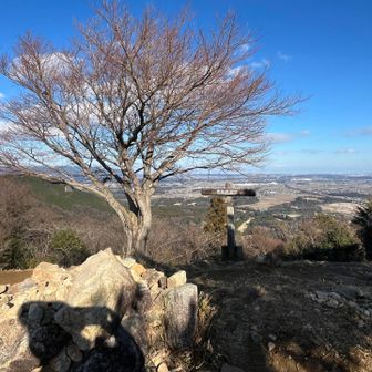 風がなくてポカポカ