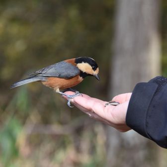 出逢いの広場、
