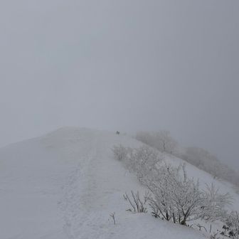 山頂を少し過ぎたところから撮影