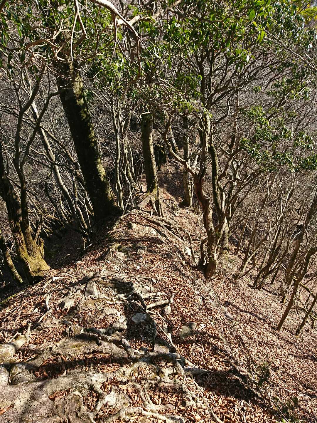 岩場💦の急坂💦の細尾根だ〜😱