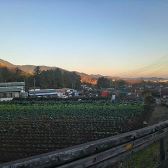 最後まで雲一つ無し
はっさくしか売ってなかった、けど買わず
🚌16:55まで時間潰し