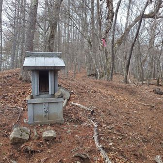 サオラ峠まで戻ってきました