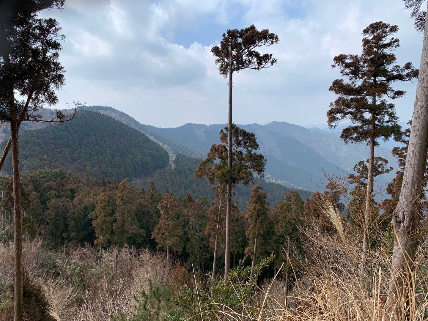 太田岳-白馬山 縦走コースの写真
