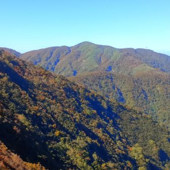 部子山