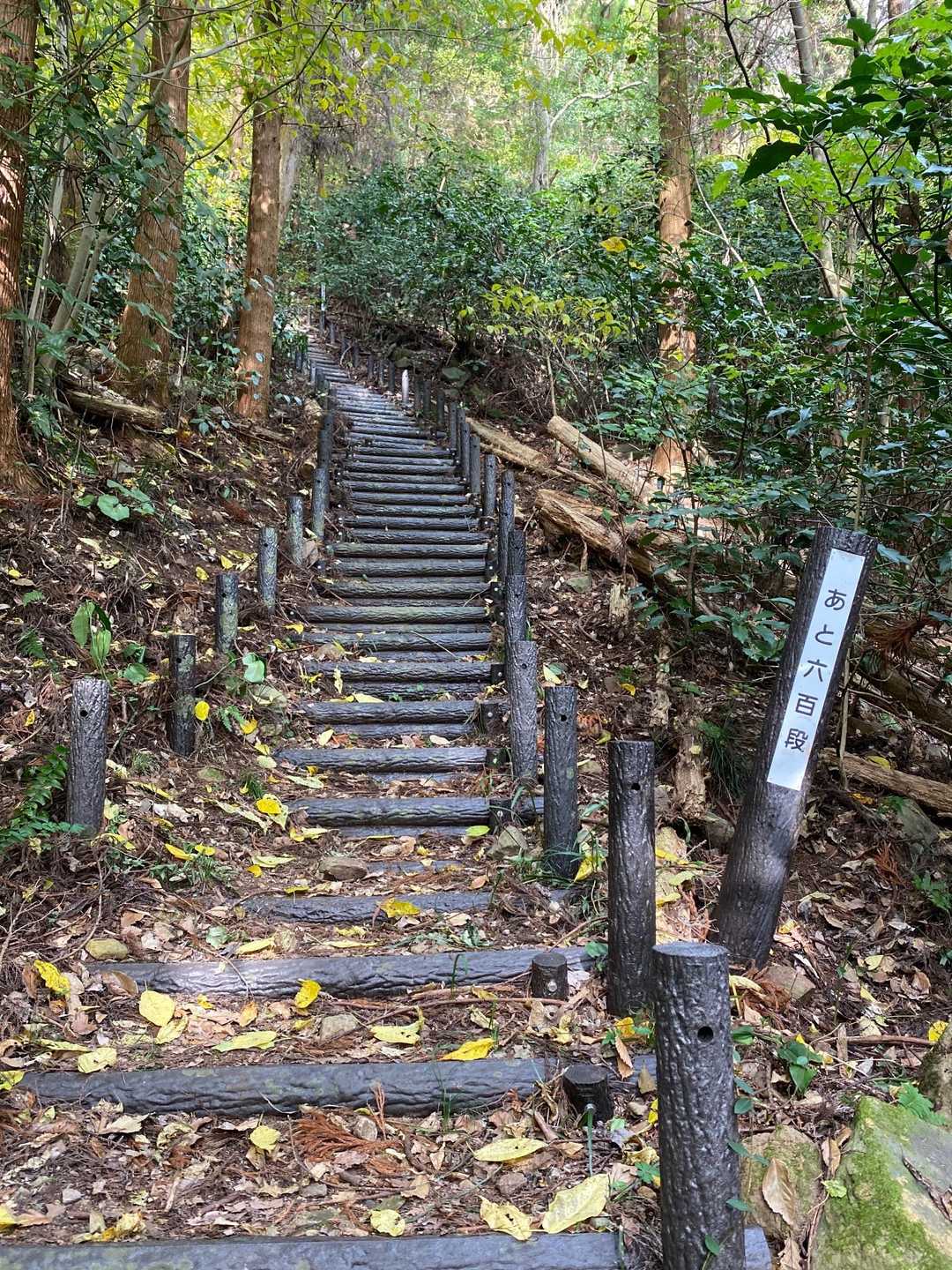 下山も　丸太階段　ふぅ〜💦でした😅