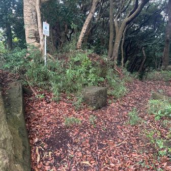 こんぴら山。