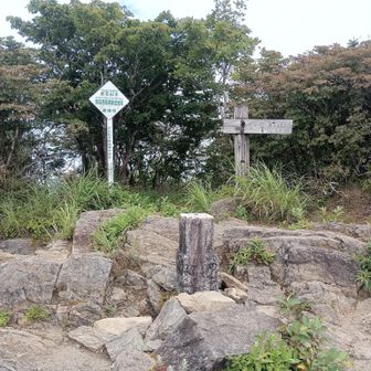 山頂広場。アブとクマンバチが飛び交っています。