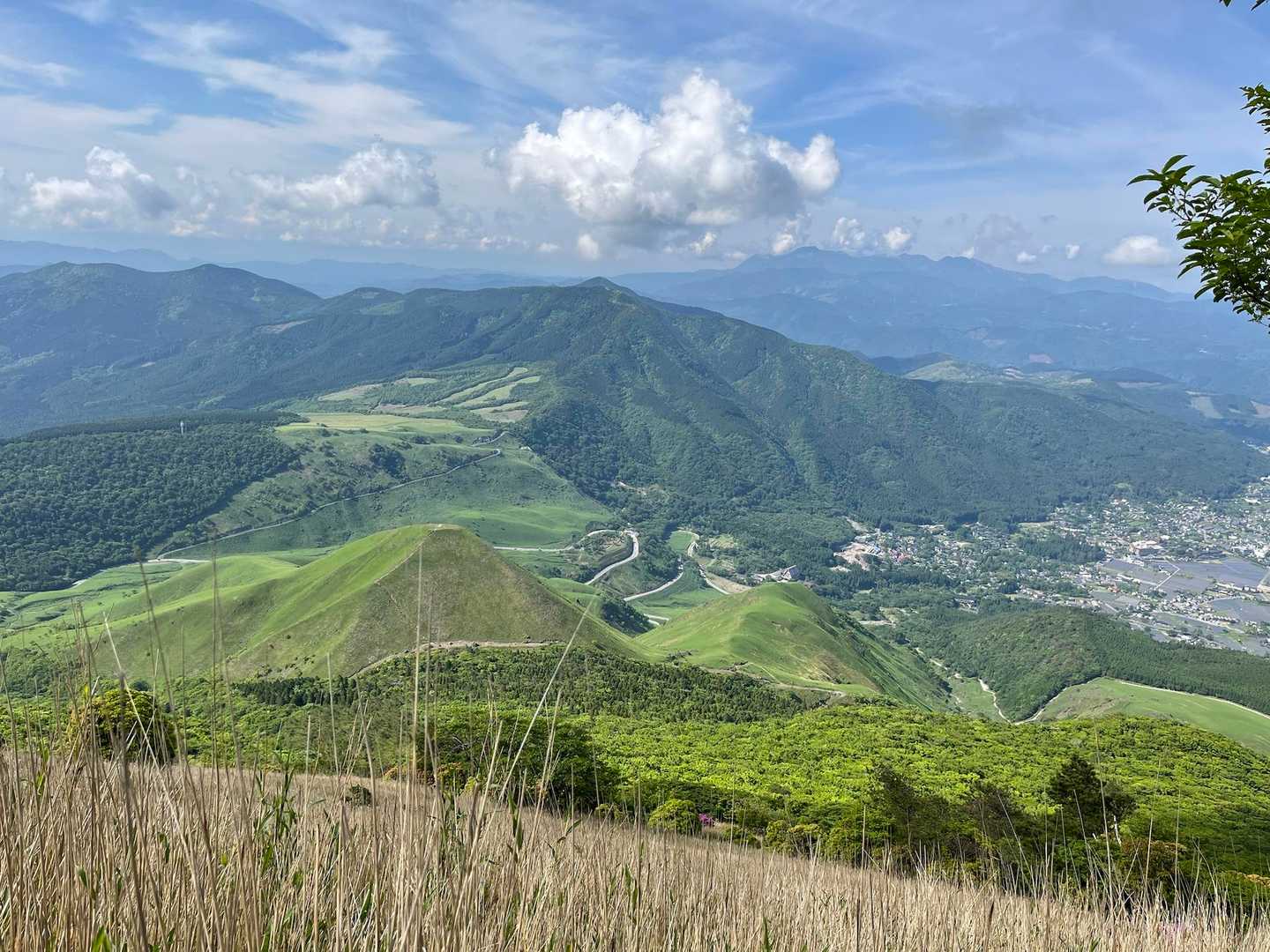 綺麗すぎて何回も撮ってまう