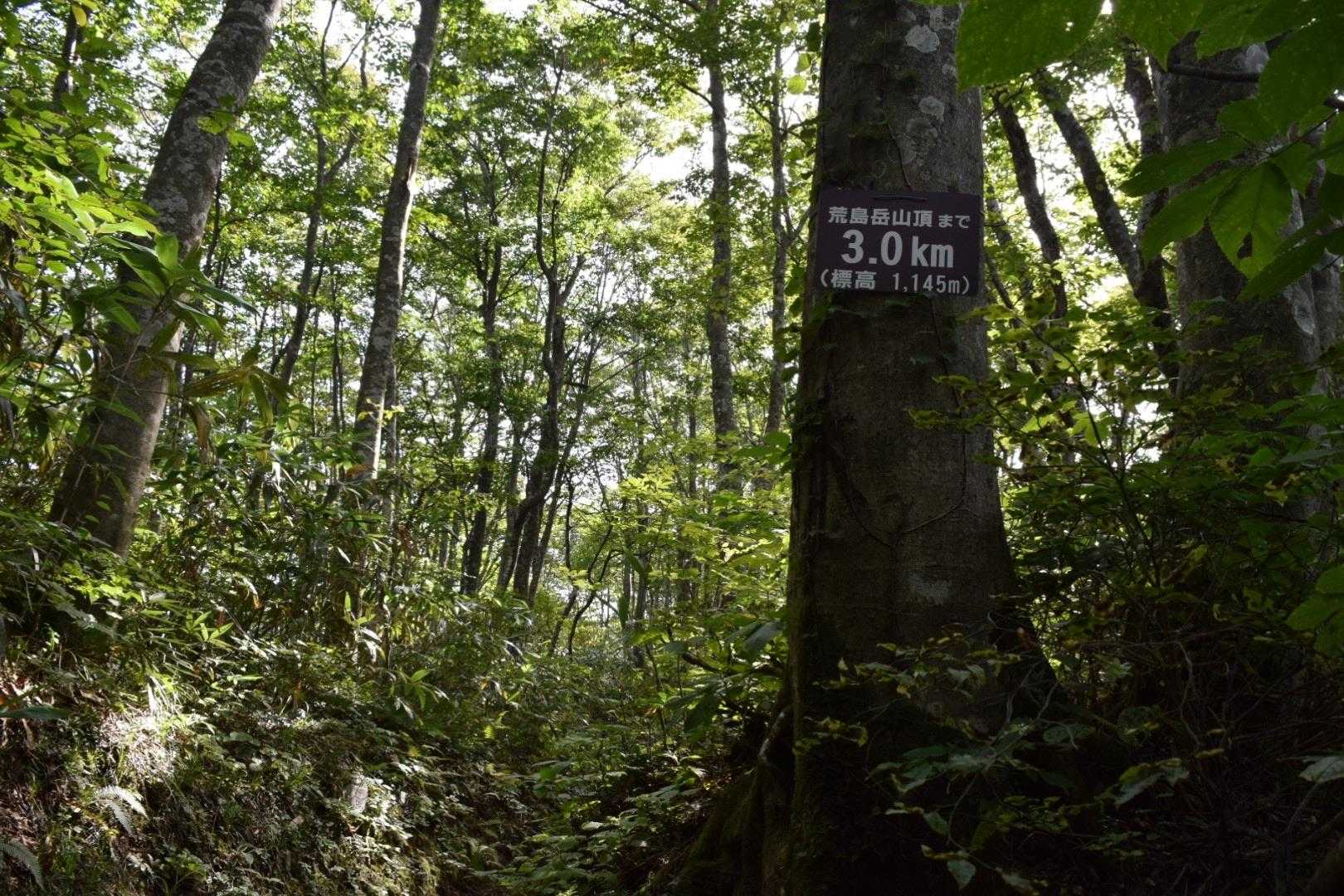 荒島岳中出コース登山口-小荒島岳 往復コースの写真