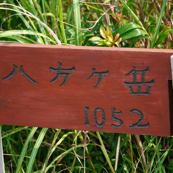 新しい山頂標識👀