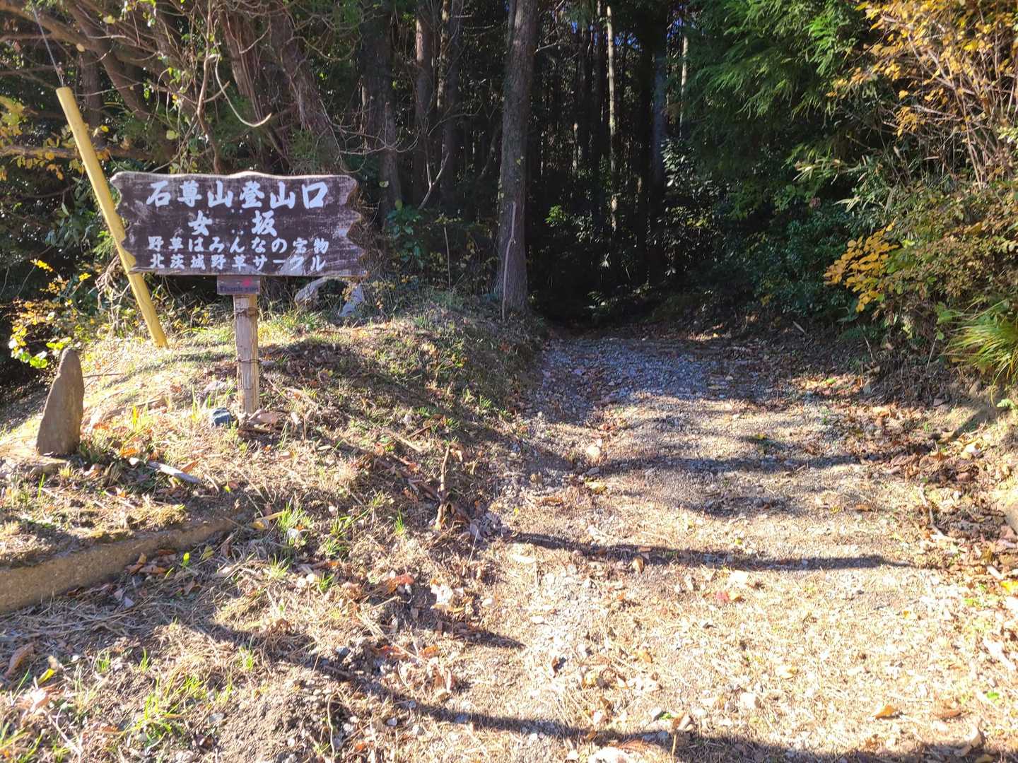石尊山-金山岳-石尊山登山口 周回コースの写真