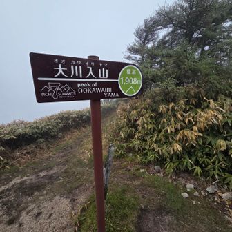 山頂到着
周りいっぱい人がいます😋