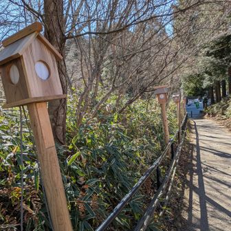 🏮灯ろうライトアップまだしてるのかなぁ
