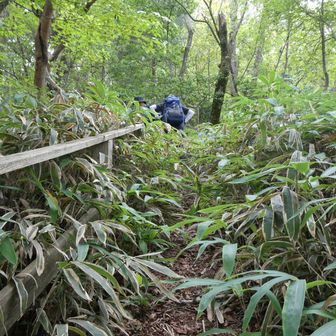 最後、プチやぶ漕ぎの急登でふくらはぎが伸び切ります