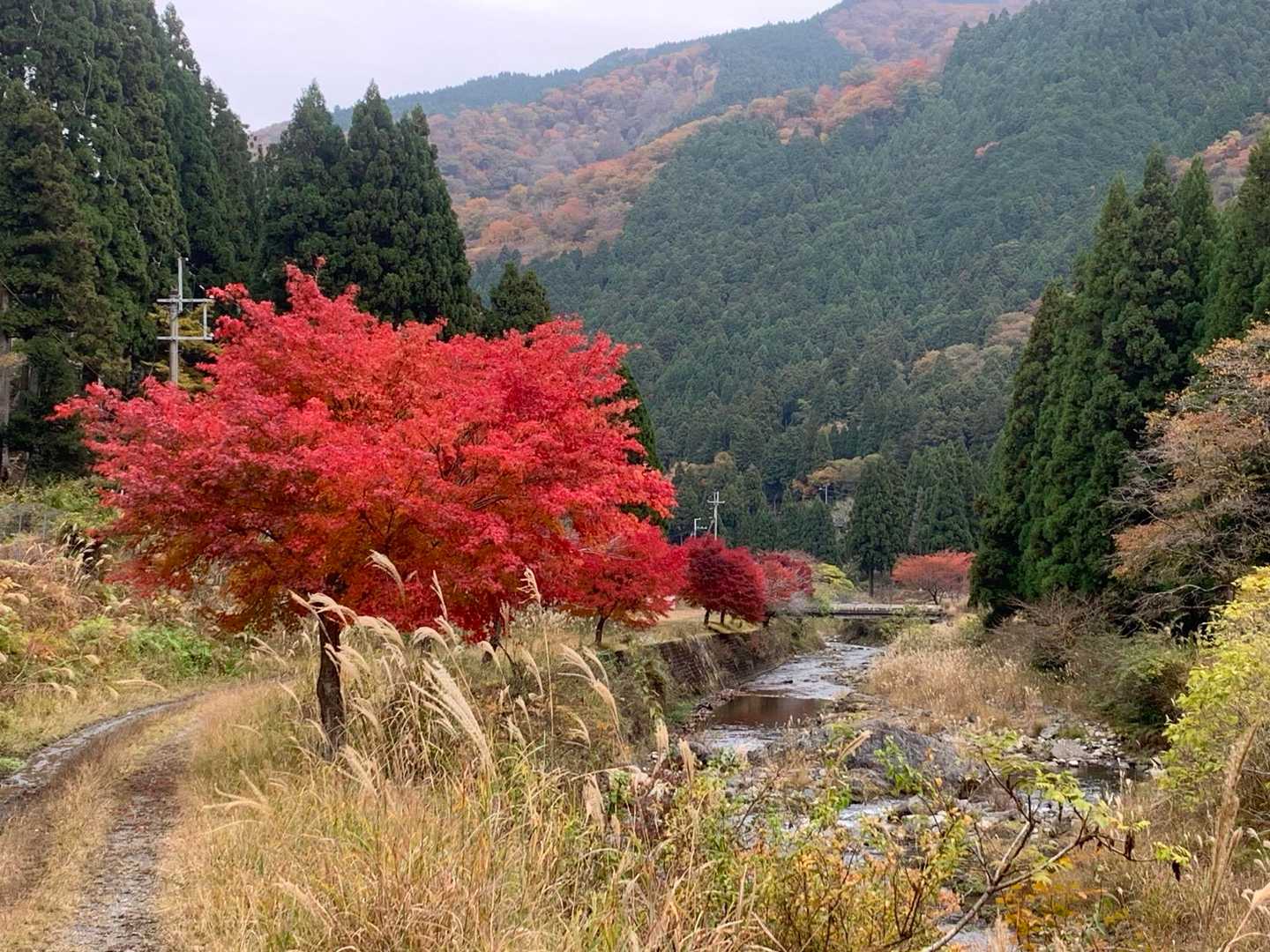 平バス停-平登山口-皆子山 周回コースの写真