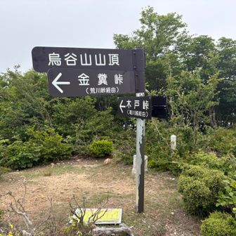 鳥谷山
ここからがっつりコースロストしてしまい、40分ほど無駄にしてしまった😵
さすがオレ😅