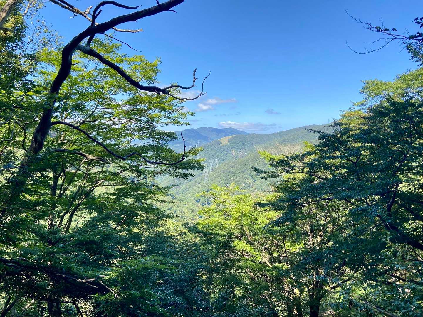 赤坂山 周回コースの写真