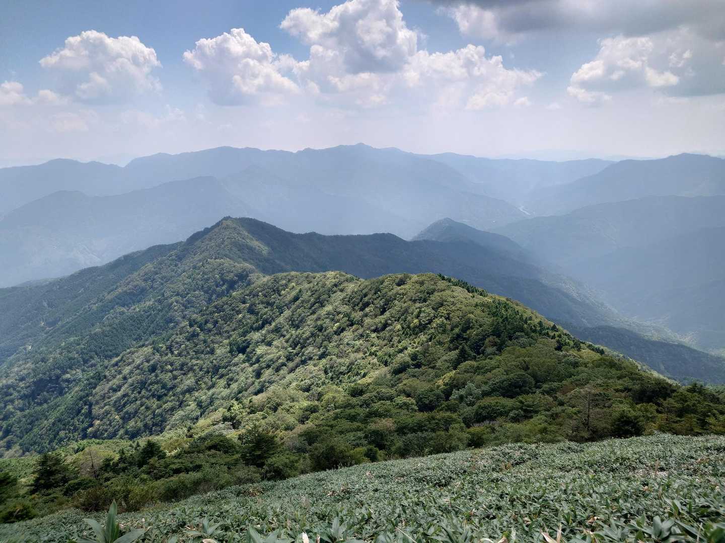 高薮登山口-平家平 往復コースの写真