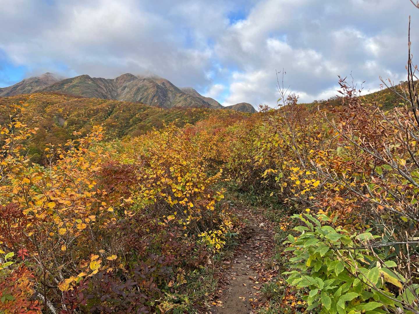 お日様が出てきた！
稜線の景色と紅葉が見事🍁
