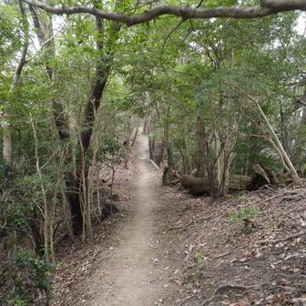 鎮南山山頂へ
まっすぐな道
綺麗