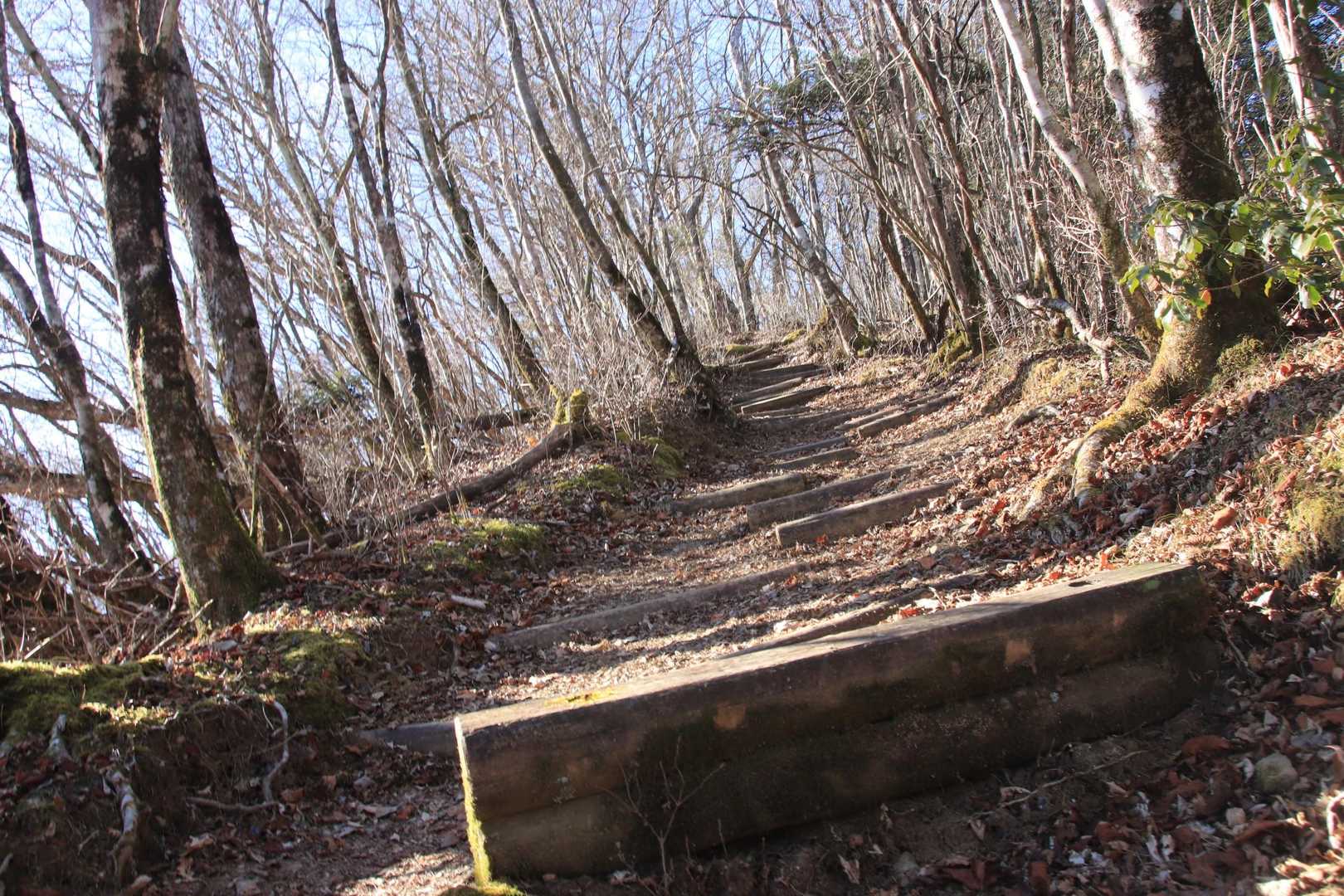 山頂直下📷
登山口から山頂まで整備されてて歩きやすい♪