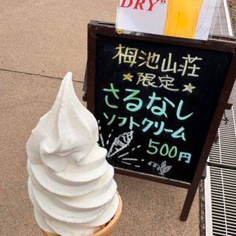 さるなしソフト、10年前から比べるとスゴく美味しくなってました。