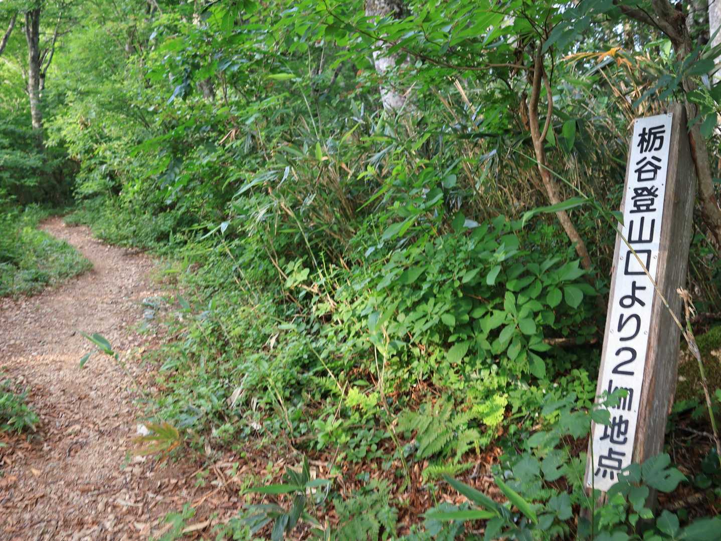 正確には1.8km地点といったところでしたが、道が広めで休憩適所だからここに立てたのでしょう
水分をこまめに摂ります😉