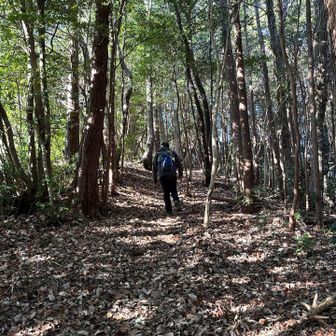 登りやすいなだらかなお山