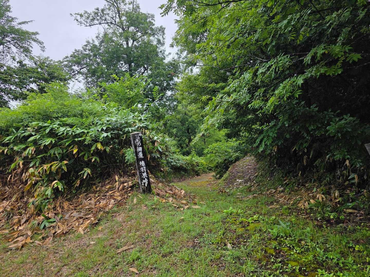 奥の細道 猿羽根峠だって
昔は街道だったのかな?