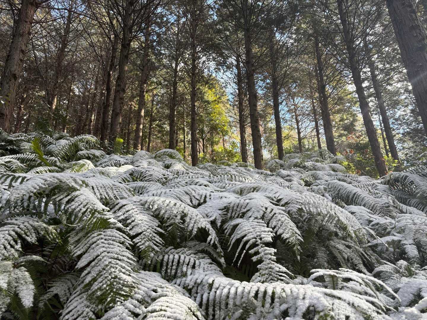 おぉ〜❄️